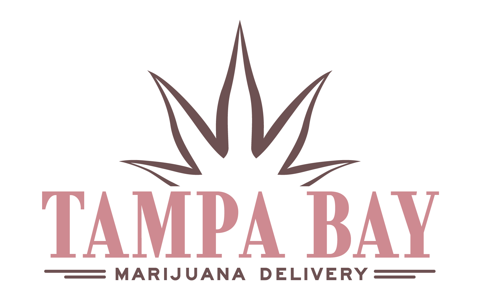 Tampa Bay Marijuana Delivery